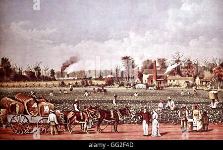 Lithografie von Currier und Ives. Eine Baumwollplantage entlang Mississippi Fluß des 19. Jahrhunderts Vereinigten Staaten Stockfoto