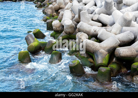 Konkrete ineinandergreifende Tetrapoden bilden einen Wellenbrecher Stockfoto