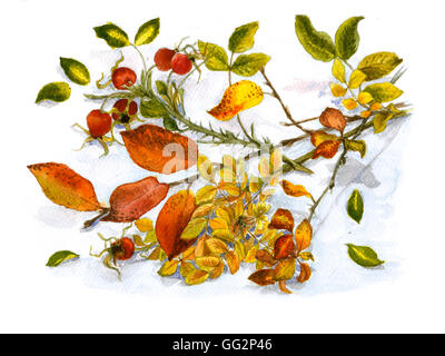 Herbst-Bündel Stockfoto