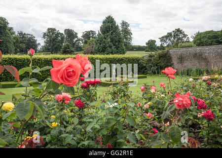 Einen malerischen Blick auf den Rosengarten bei Raby Castle,Staindrop,Co.Durham, England, UK Stockfoto