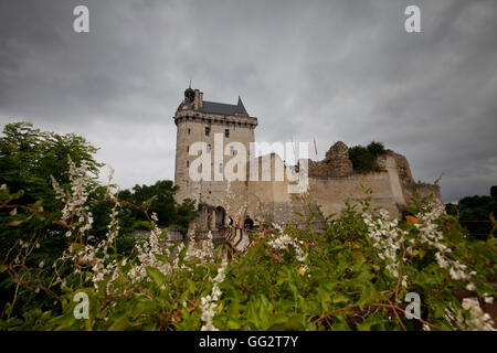 Château Chinon Loire Tal Frankreich Vienne River Anjou Französisch Schloss Baudenkmal touristische Attraktion Gefängnis Restaurierung fort Stockfoto