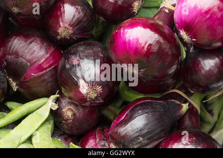 Knoblauch, roten Zwiebeln und Paprika Stockfoto