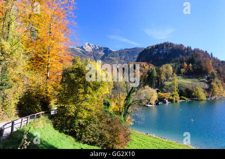 Sankt Gilgen: brunnwinkl Bucht und Schafberg am Wolfgangsee, Österreich, Salzburg, Salzkammergut Berg Stockfoto