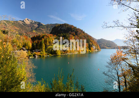 Sankt Gilgen: brunnwinkl Bucht und Schafberg am Wolfgangsee, Österreich, Salzburg, Salzkammergut Berg Stockfoto