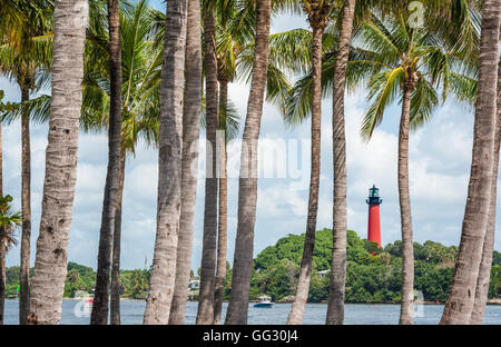 Jupiter-Leuchtturm im nördlichen Palm Beach County, Florida durch einen Stand von Palmen neben dem Jupiter Inlet gesehen. Stockfoto