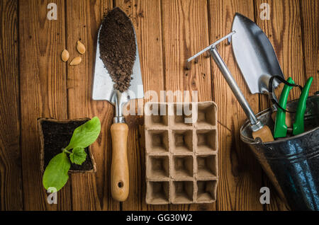 Stillleben mit Sprossen und Gartenwerkzeug, Draufsicht Stockfoto