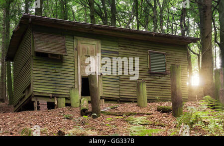 Platz - verloren alte verlassene und verfallene Hütte im Wald Stockfoto