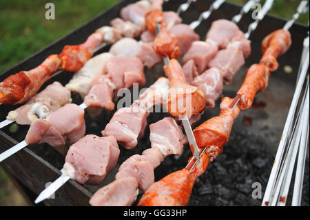 Nahaufnahme von Schweinefleisch und Huhn Fleisch Schaschlik. Stockfoto