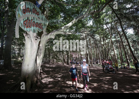 Ein Blick auf den Wald Bereich der Latitude Festival Website. Allgemeine Ansichten an Tag 3 (Sonntag) von 2016 Latitude Festival in Southwo Stockfoto