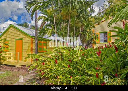 Romney Manor-Gärten Westindische Inseln St. Kitts Stockfoto