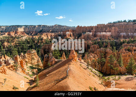 Hoodoos, Bryce-Canyon-Nationalpark, Utah, USA Stockfoto