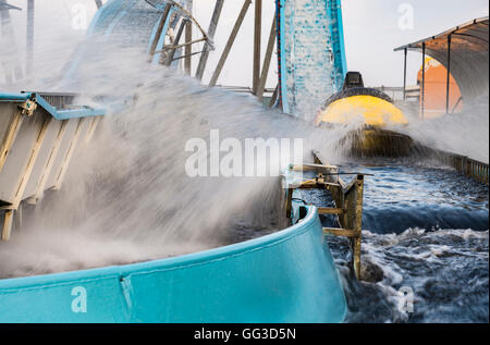 Wasserrutsche im Wasserpark Spielplatz Stockfoto