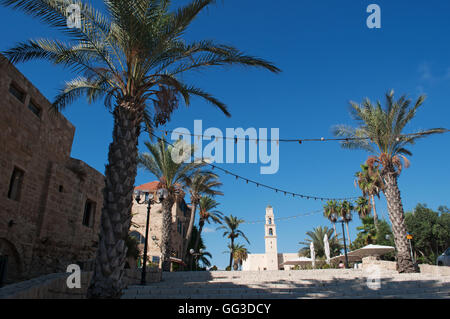 Die Altstadt von Jaffa, Israel, Naher Osten: Palmen auf der Treppe von Kedumim Platz mit der Kirche St. Peter im Hintergrund Stockfoto