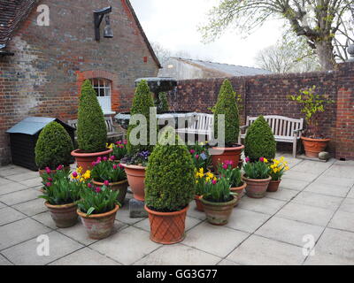 Bunte Terrakotta Blumentöpfe im Garten-Center Stockfoto, Bild: 4668823