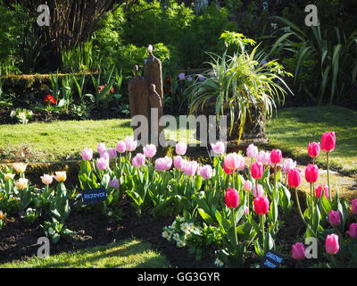 Sunny Corner im Chenies Manor versunkene Garten im Frühjahr; Statue, Cordyline und Hintergrundbeleuchtung rosa Tulpe Blütenblätter, lange Schatten auf Weg und Rasen. Stockfoto