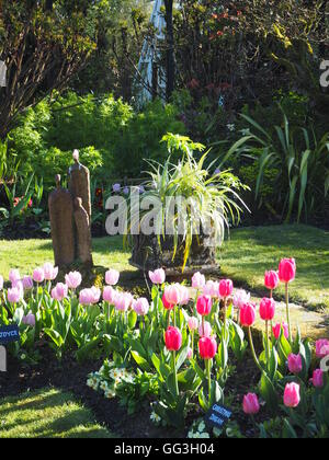 Sunny Corner im Chenies Manor versunkene Garten im Mai; Statue und Hintergrundbeleuchtung rosa Tulpe Blütenblätter, lange Schatten auf Weg und Rasen. Stockfoto