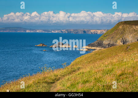 Mit Blick auf St. Agnes von Godrevy; Cornwall; UK Stockfoto