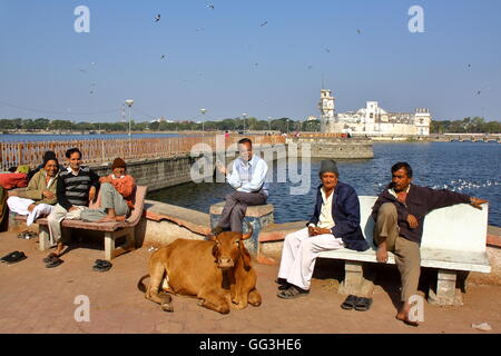 Porträt von Gujarati Männer und eine Kuh in Jamnagar, Gujarat, Indien, der Lakhota See und Lakhota Fort im Hintergrund Stockfoto