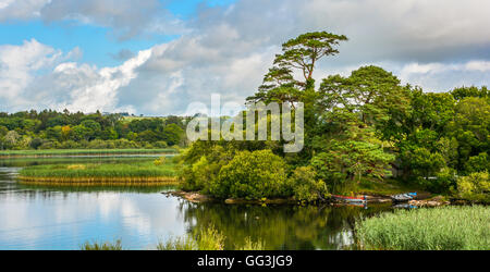 Idyllische Aussicht auf Ross Castle See, Killarney, Irland Stockfoto