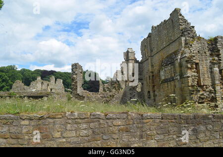 Easby Abbey, einer zerstörten Prämonstratenser-Abtei an den Ufern des Flusses Swale am Stadtrand von Richmond, North Yorkshire Stockfoto