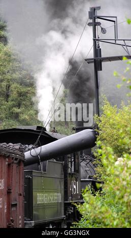 Dampflok unter Wasser auf der Durango und Silverton Narrow Gauge Railroad Stockfoto