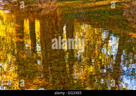 Herbstliche Spiegelungen auf dem Wasser. Der Retiro, Madrid, Spanien. Stockfoto