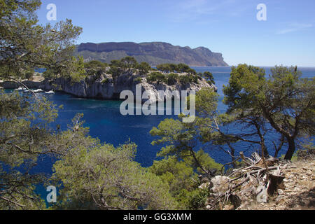 Blick über die Calanque de Port Miou in Richtung Cap Canaille, in der Nähe von Cassis, Frankreich Stockfoto