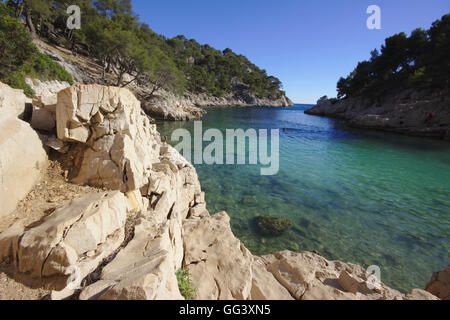 Calanque de Port-Pin, Bucht am Mittelmeer in der Nähe von Cassis, Frankreich Stockfoto