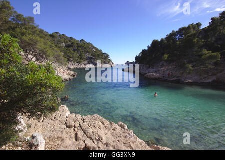 Calanque de Port-Pin, Bucht am Mittelmeer in der Nähe von Cassis, Frankreich Stockfoto