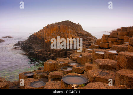 Giant es Causeway Moyle Nordirland Stockfoto