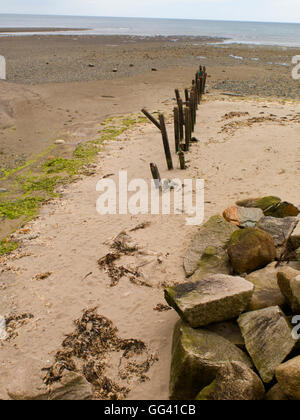 Murlough National Nature Reserve County Down Northern Irland Stockfoto