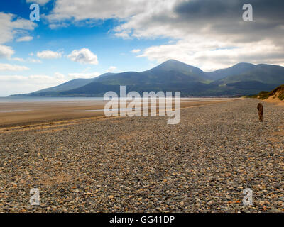 Murlough National Nature Reserve mit Bergen von Mourne im Abstand Stockfoto