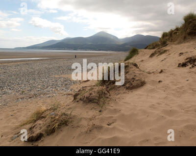 Murlough National Nature Reserve mit Bergen von Mourne im Abstand Stockfoto