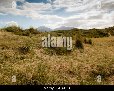 Murlough National Nature Reserve Stockfoto