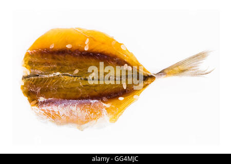 Getrockneter Fisch Erhaltung auf weißem Hintergrund. Stockfoto