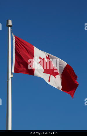 Die Flagge Kanada fliegen in St. Johns, Neufundland, Kanada. Die Fahne flattert von einer Fahnenstange. Stockfoto