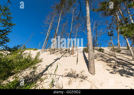 Die Wanderdünen im Slowinski Nationalpark, Polen. Die Dünen gelten als eine Kuriosität der Natur auf europäischer Ebene. Stockfoto