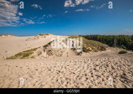 Wüstenlandschaft, Slowinski-Nationalpark in der Nähe von Leba, Polen Stockfoto