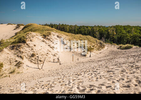 Wüstenlandschaft, Slowinski-Nationalpark in der Nähe von Leba, Polen Stockfoto