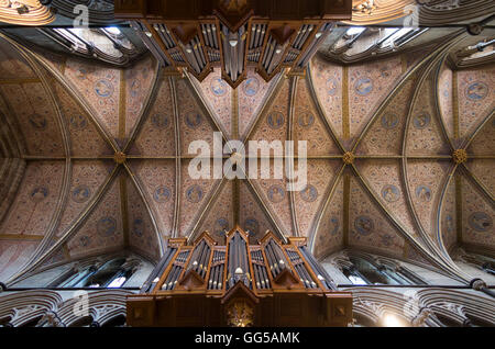 Die gewölbte Decke / Dach über das Kirchenschiff in der Kathedrale von Worcester, Worcestershire. VEREINIGTES KÖNIGREICH. Stockfoto