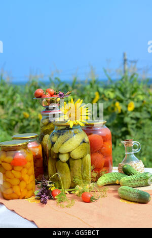 Gläsern von hausgemachten Marmeladen: Tomaten und Gurken. Stockfoto