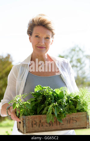 Glücklich senior Frau, die die Kiste von Blattgemüse Stockfoto