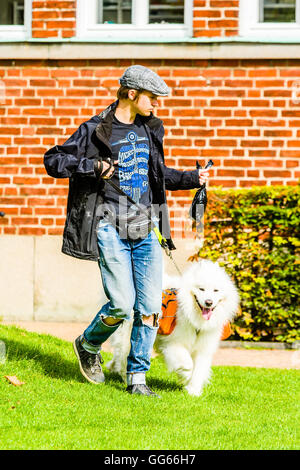 Ystad, Schweden - 1. August 2016: Echte Menschen im Alltag. Junger Erwachsener Mann spazieren mit einem Samojeden Hund trägt eine orange R Stockfoto