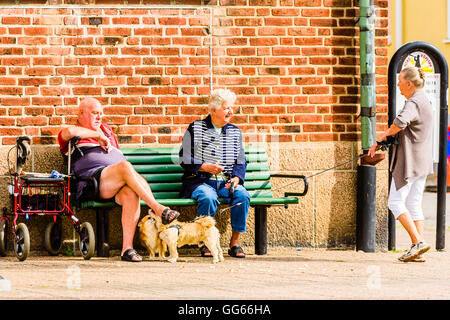 Ystad, Schweden - 1. August 2016: Echte Menschen im Alltag. Drei ältere Personen, ein Gespräch, während auf zwei Hunde schnüffeln Stockfoto