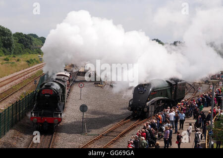 Zwei Dampflokomotiven, die das Label "Flying Scotsman" in ihrer Zeit an der Shildon Railway Museum, Co. Durham getragen haben Stockfoto