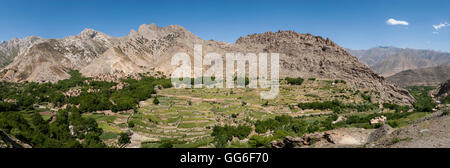 Ein Dorf und Terrassenfelder von Weizen und Kartoffeln im Panjshir-Tal, Afghanistan, Asien Stockfoto