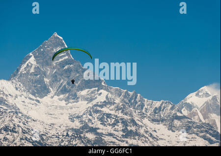 Ein Gleitschirm hängt in der Luft mit dramatischen Höhepunkt der Machapuchare (Fischschwanz Berg) in der Ferne, Himalaya, Nepal, Asien Stockfoto