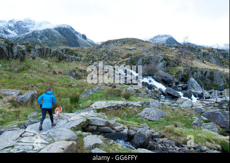Wanderer und Bergsteiger in Snowdonia-Nationalpark, Gwynedd, Wales, Vereinigtes Königreich, Europa Stockfoto