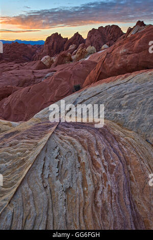 Sonnenaufgang über dem Sandstein, Valley Of Fire State Park, Nevada, Vereinigte Staaten, Nordamerika Stockfoto