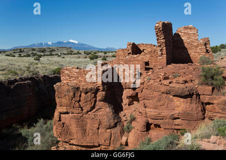 Lomaki Pueblo, bewohnt von etwa 1100 N.Chr. bis 1250 N.Chr, Wupatki National Monument, Arizona, USA Stockfoto